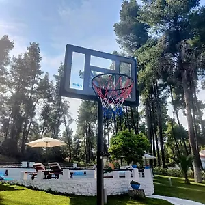 https://forest-sani-villa.hotelschalkidiki.net